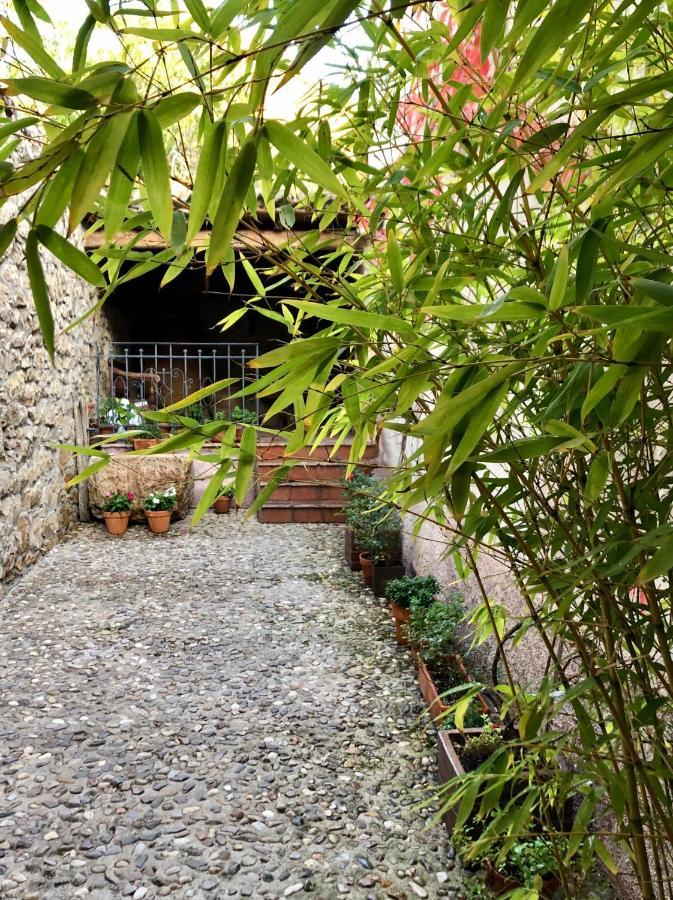 La Posada De Lola El Molar Dış mekan fotoğraf